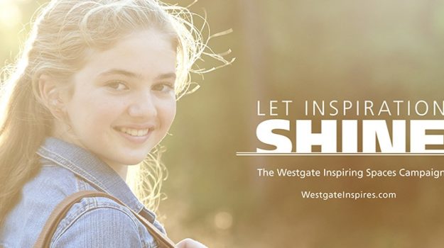 Shine – Invitation to Participate